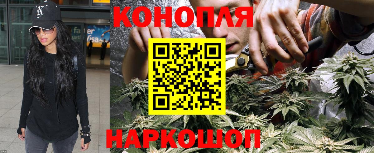 Марихуана конопля Беслан